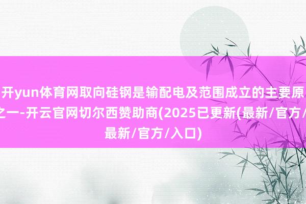 开yun体育网取向硅钢是输配电及范围成立的主要原材料之一-开云官网切尔西赞助商(2025已更新(最新/官方/入口)