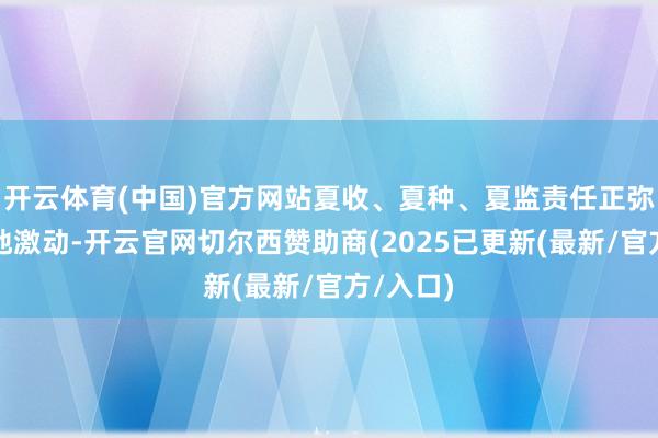 开云体育(中国)官方网站夏收、夏种、夏监责任正弥留有序地激动-开云官网切尔西赞助商(2025已更新(最新/官方/入口)