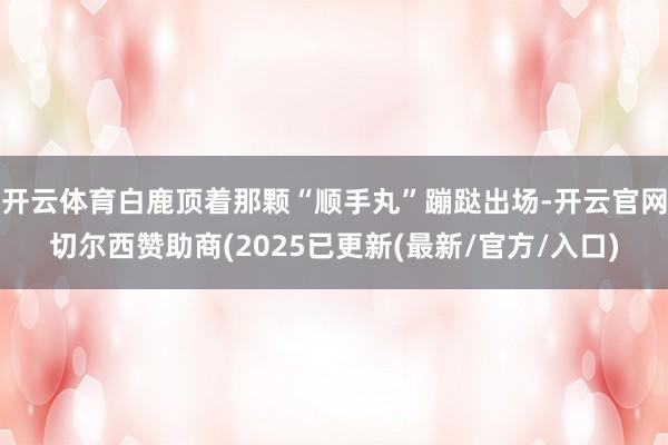 开云体育白鹿顶着那颗“顺手丸”蹦跶出场-开云官网切尔西赞助商(2025已更新(最新/官方/入口)