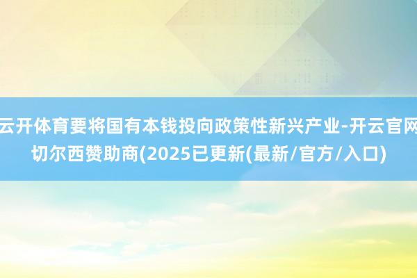 云开体育要将国有本钱投向政策性新兴产业-开云官网切尔西赞助商(2025已更新(最新/官方/入口)