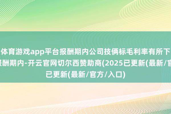 体育游戏app平台报酬期内公司技俩标毛利率有所下跌；2、报酬期内-开云官网切尔西赞助商(2025已更新(最新/官方/入口)