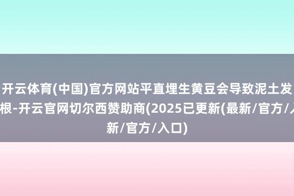 开云体育(中国)官方网站平直埋生黄豆会导致泥土发烧烧根-开云官网切尔西赞助商(2025已更新(最新/官方/入口)